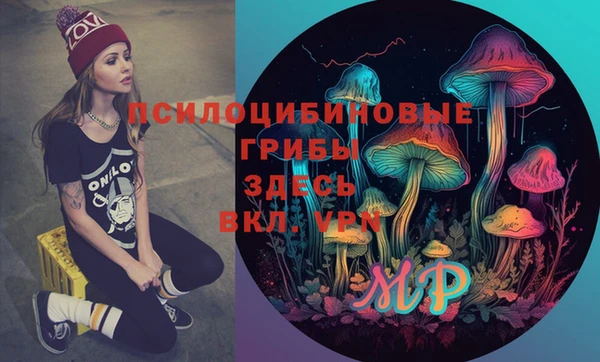 гидропоника Алзамай