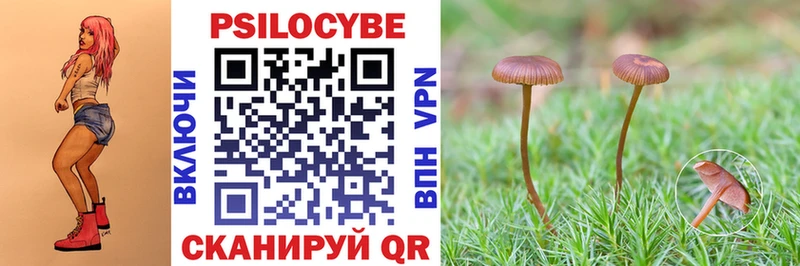 купить закладку omg зеркало Галлюциногенные грибы GOLDEN TEACHER Сельцо